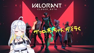 【VALORANT】ひとりはこわいめう