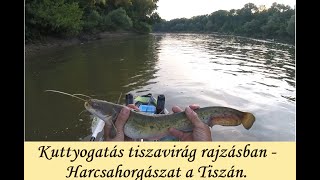 KUTTYOGATÁS TISZAVIRÁG RAJZÁSBAN - Harcsahorgászat a Tiszán.  Fishing whit clonk for catfish.