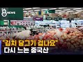 채소 가격 급등에 귀해진 '국산 김치'…다시 느는 중국산 / SBS