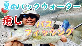 椿山ダムバックウォーター❗️＆ため池🎣