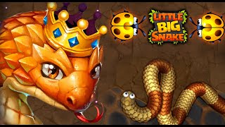 LITTLE BIG SNAKE.IO |  Little Big Snake Rebel Kills |  LVL 18 👑 SOLO+ New Skins | SNAKE Gameplay