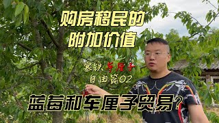 车厘子自由篇02，塞尔维亚新移民的快乐来了！