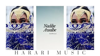 Nawala - Halo Halo│Ethiopian Harari Music (Audio)