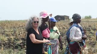 Anabela Lemos: A Lifelong Commitment to Justice and Change in Mozambique