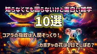 【雑学】知らなくても困らないけど面白い雑学10選／その2 #雑学 #豆知識 #トリビア