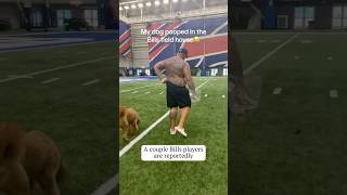 The entire Bills team got sick before week 1! #shorts #nfl #buffalobills