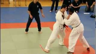 12. Mens Final Aikido Randori - Shodokan Open July 2012