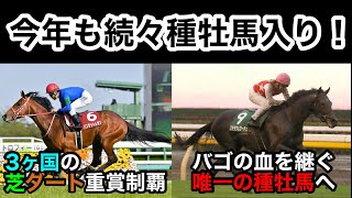 【約3分で分かる】今年もこのシーズンが来た！種牡馬入り情報②