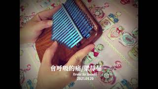 #拇指琴 #會呼吸的痛 #卡林巴 #kalimba