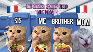 Cat memes family field trip to Paris 🇫🇷