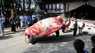 【山階北山獅子組】20151004 本祭り 神殿前