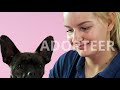 tv commercial haags dierencentrum