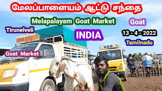 சூப்பர் கருப்பு கிடாய்கள் மேலப்பாளையம் ஆட்டு சந்தை | @tamilvivasayi