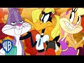 Looney Tunes | Best Cold Opens Vol. 1 | WB Kids