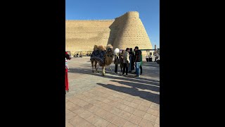 THE ARK OF BUKHARA