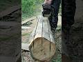 Chainsaw best beautiful skill #chainsaw #woodcutting #shorts