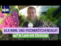 Im Trend: Gärtner Christian produziert Gemüse von der Insel | Folge 1 | NDR auf'm Land mit Christian