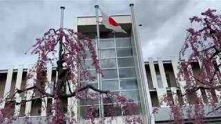 📕 大学散歩 📕 弘前大学 [ Hirosaki University ]