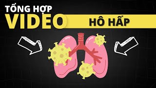 [Học bán thuốc] Tổng hợp chuỗi video kê đơn, bệnh lý về hô hấp - Ds.Hằng Eduphar