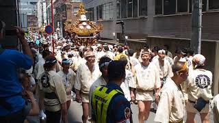 新宿　花園神社　大祭　本社・雷電神輿渡御　2018.5.27