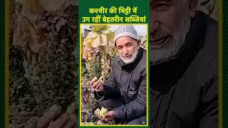 Pulwama के Ghulam Mir करते हैं Brussels Sprouts जैसी कई उन्नत सब्जियों की खेती | #shorts