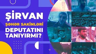 Şirvan şəhər sakinləri deputatını tanıyırmı?