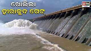 ଖୋଲିଲା ହୀରାକୁଦ ଗେଟ | Hirakud Dam Releases Seasons First Flood Water | Latest Odia News | Dtv Odia