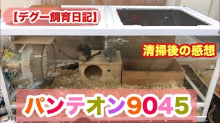 【デグー飼育】ガラスケージ パンテオン9045 清掃後の様子 高画質 レイアウト