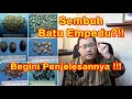 Batu Empedu, Sembuhkan ?!! Begini Caranya tanpa Obat !!!