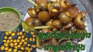 ខ្យងប័រជប៉ុនស្ងោរជាមួយទឹកដូង / Boiled snails with coconut