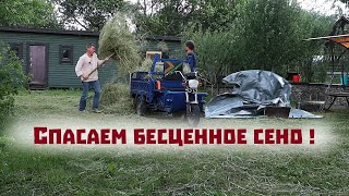 Спасаем сено , находим новую шабашку и экспериментируем в огороде!..