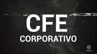 Subsidiarias y filiales: Otra separación de CFE