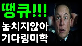 땡큐!!! 테슬라 놓치지않아! 기다림의 미학!