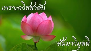 [2559]ปัญญาที่ทราบชัดในองค์สัมปชัญญะ...เป็นเช่นไร?