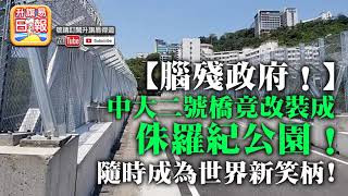 【4.29 時事!】【腦殘政府！】中大二號橋竟改裝成侏羅紀公園！隨時成為世界新笑柄! | 升旗易得道 2020年4月29日