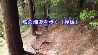 宇津ノ谷峠・蔦の細道を歩く（後編）