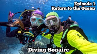 Getting Started At Buddy Dive | Alice In Wonderland, Hilma Hooker | Diving Bonaire '24 Ep 1