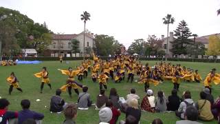 炎流　2014新月祭上ヶ原　「炎joy」