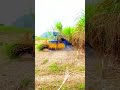 mesin canggih panen tebu dengan cepat dan praktis milik petani cerdas shorts