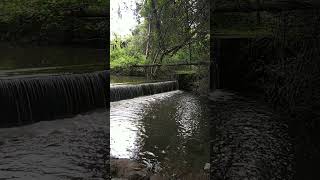 mini river dam in kuruvampatti zoological park, salem