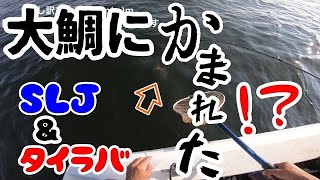 SLJ＆タイラバ　大鯛に嚙まれた？　スーパーライトジギング　タイラバ 瀬戸内海　笠岡諸島