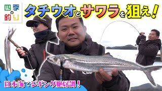 日本海でジギング絶好調！タチウオとサワラを狙え！（四季の釣り/2024年3月22日放送）