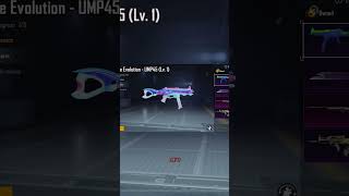 Maxing Marine Evolution UMP45