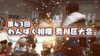 第43回わんぱく相撲荒川区大会