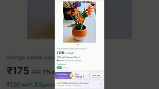 Ordered Plants from Meesho 🌱 | Good Quality of Plants from #meesho #review #shorts