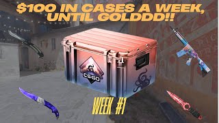 Opening $100 in CS2 Cases EVERY WEEK Until I Get a GOLD! (Week 1)