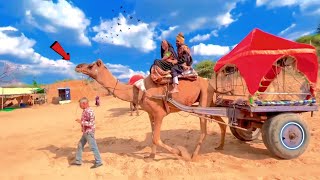 कैमल की सवारी !! Camel Ride !! Pushkar Desert Safari !! Camel Dance Video !! Pushkar Desert