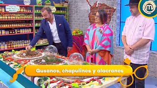 Programa 4:  Gusanos, chapulines y alacranes  🦗 🦂 | MasterChef Junior 2017