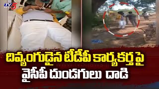 దివ్యంగుడైన టీడీపీ కార్యకర్తపై దాడి ...YCP Candidates attacked on disabled TDP activist | Eluru |TV5