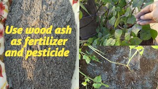 బూడిదతో మెుక్కలకు ప్రయెూజనాలు ఎన్నో/Wood ash benefits in garden